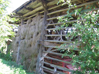 eika image